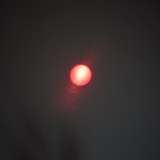 dsc_005122